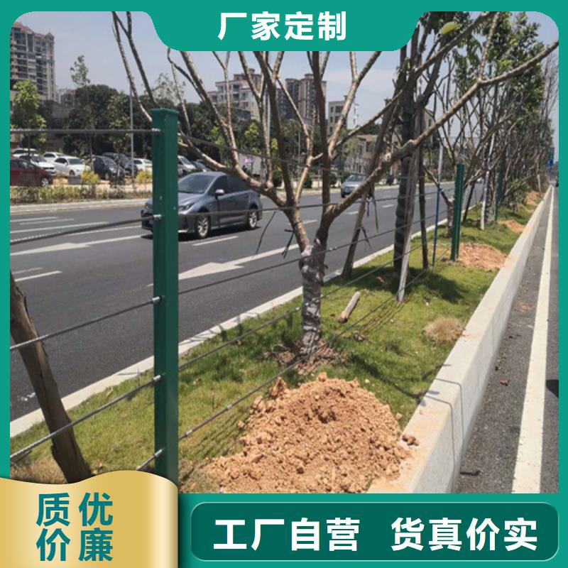 桥梁护栏-欢迎询价
