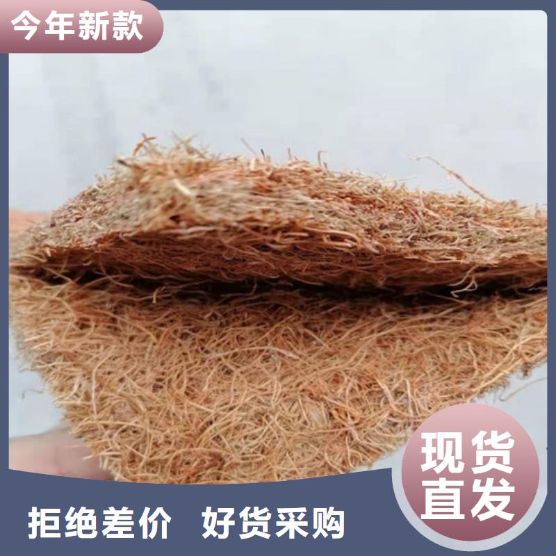 沥青多层板本地厂家----欢迎您.