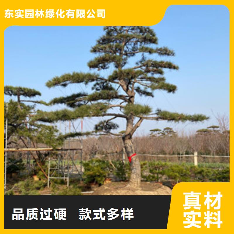 造型池松基地