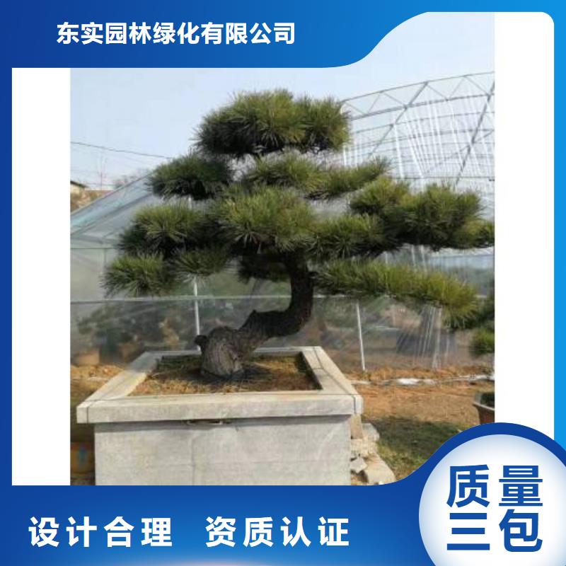 造型池松基地