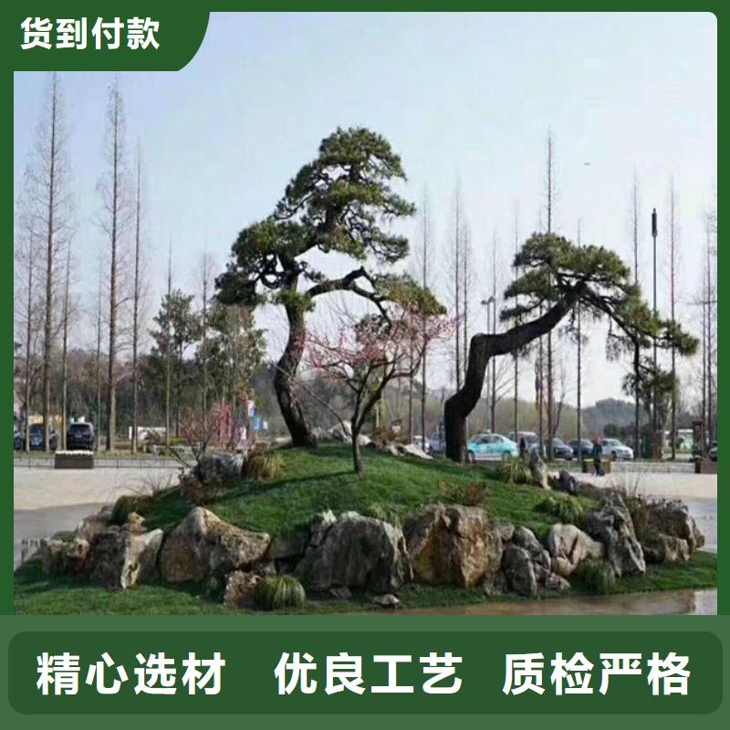 景观松畅销全国