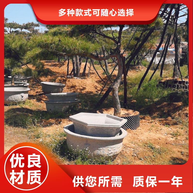 造型池松价格