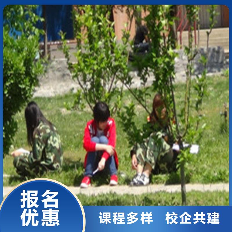 单招培训技能+学历