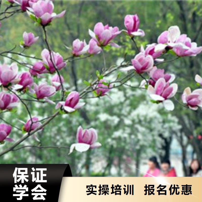 单招培训班哪家好大学老师任教