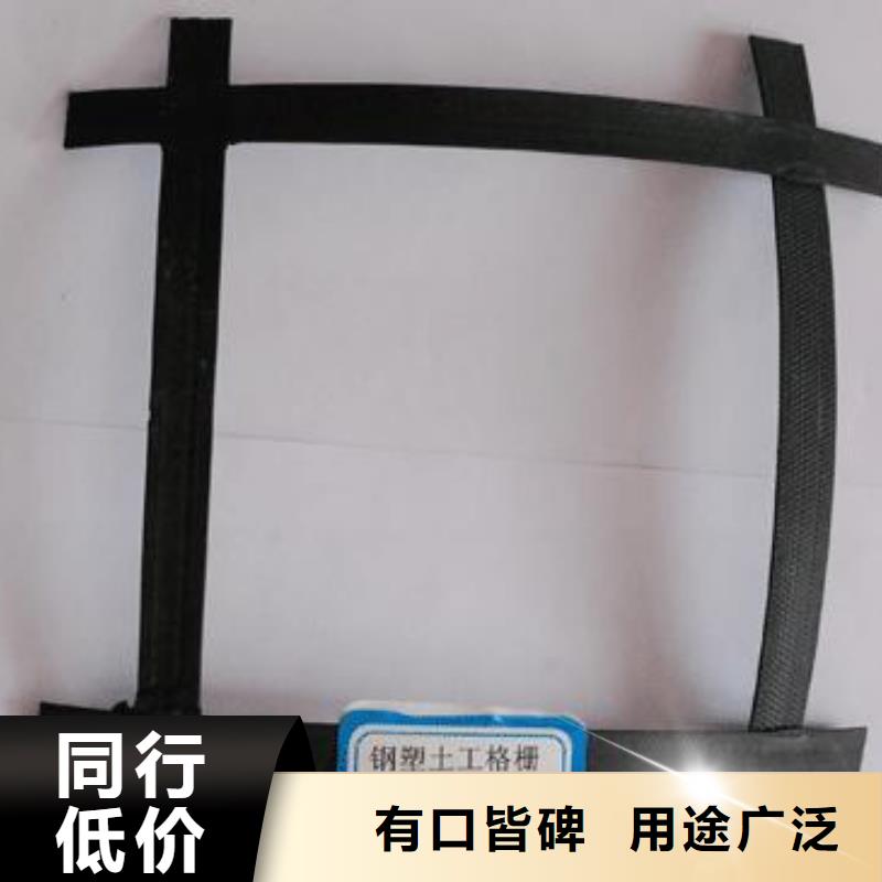 锁扣式钢塑土工格栅报价