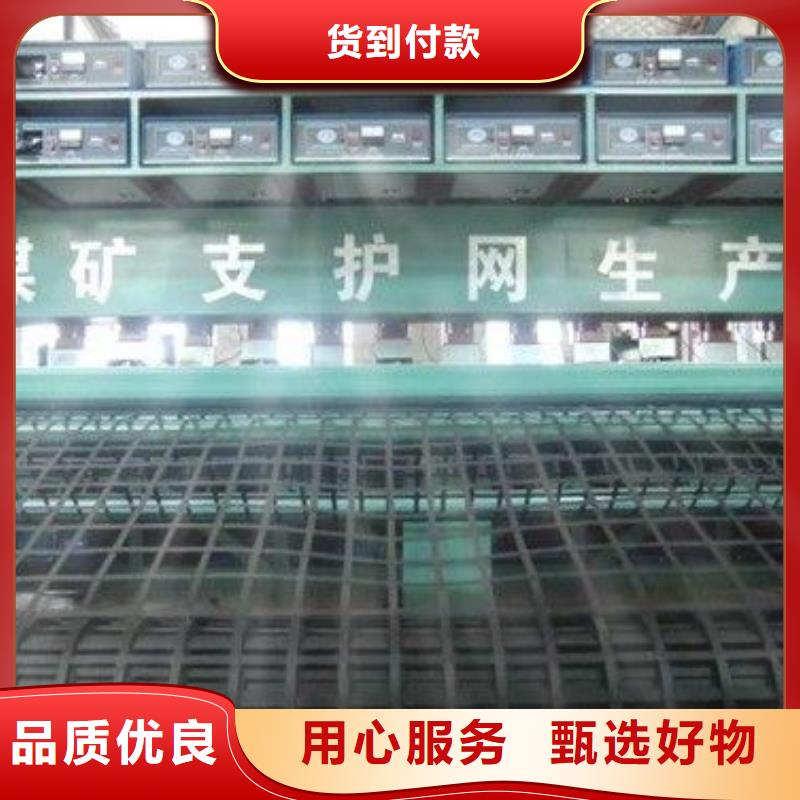 矿用钢塑复合假顶网膨润土防水毯满足您多种采购需求