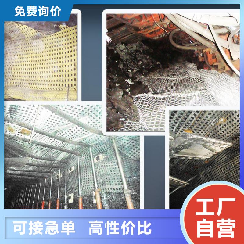 矿用钢塑假顶网全国发货.量大优惠