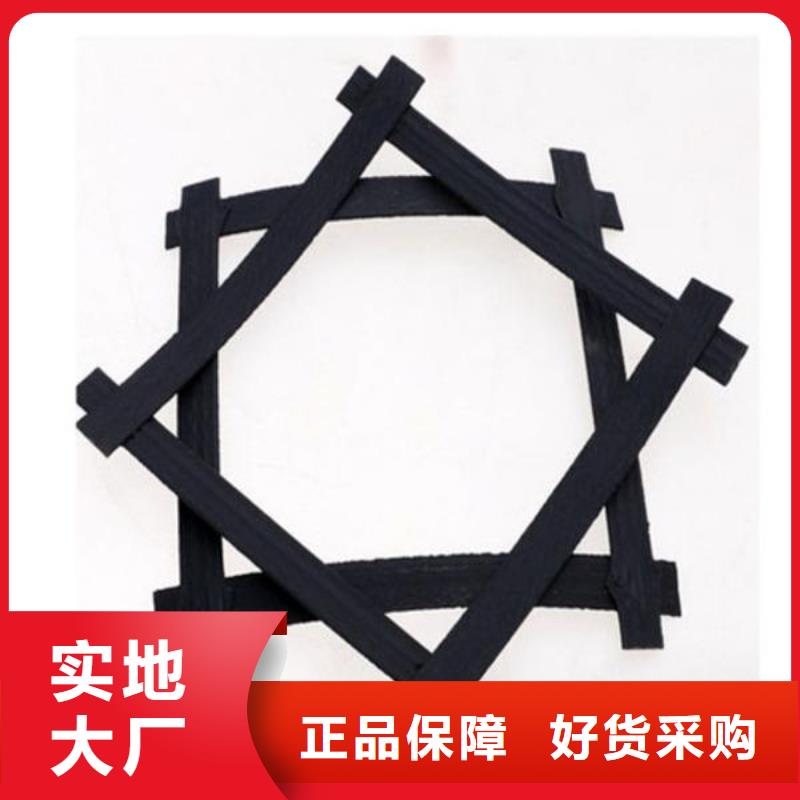 矿用钢塑复合假顶网诚信商家,聚酯涤纶土工格栅