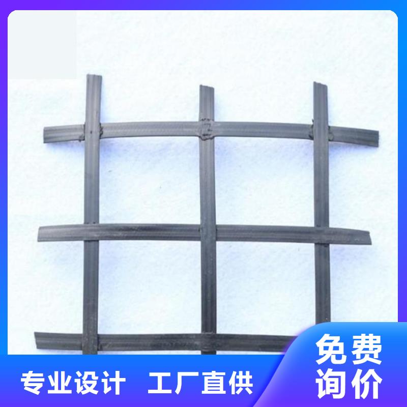 矿用钢塑假顶网全国发货.量大优惠