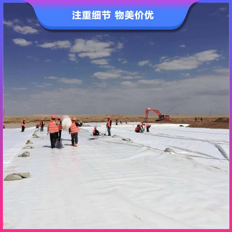 防水土工布/防渗土工布/长丝土工布_价格_厂家