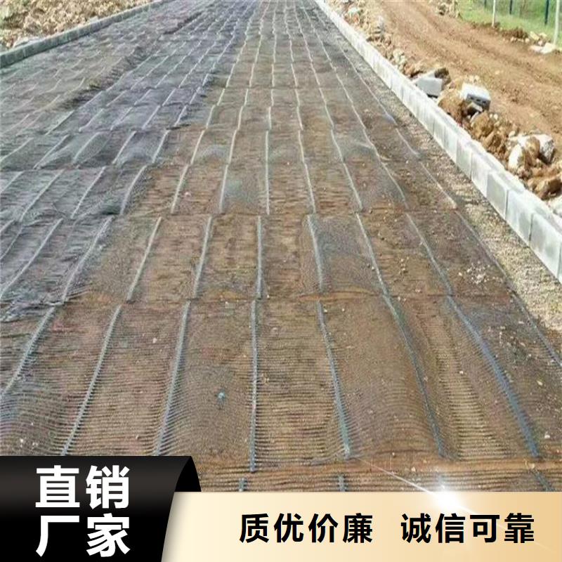 单向塑料土工格栅施工方法单向拉伸土工格栅单向拉伸塑料土工格栅生产厂家