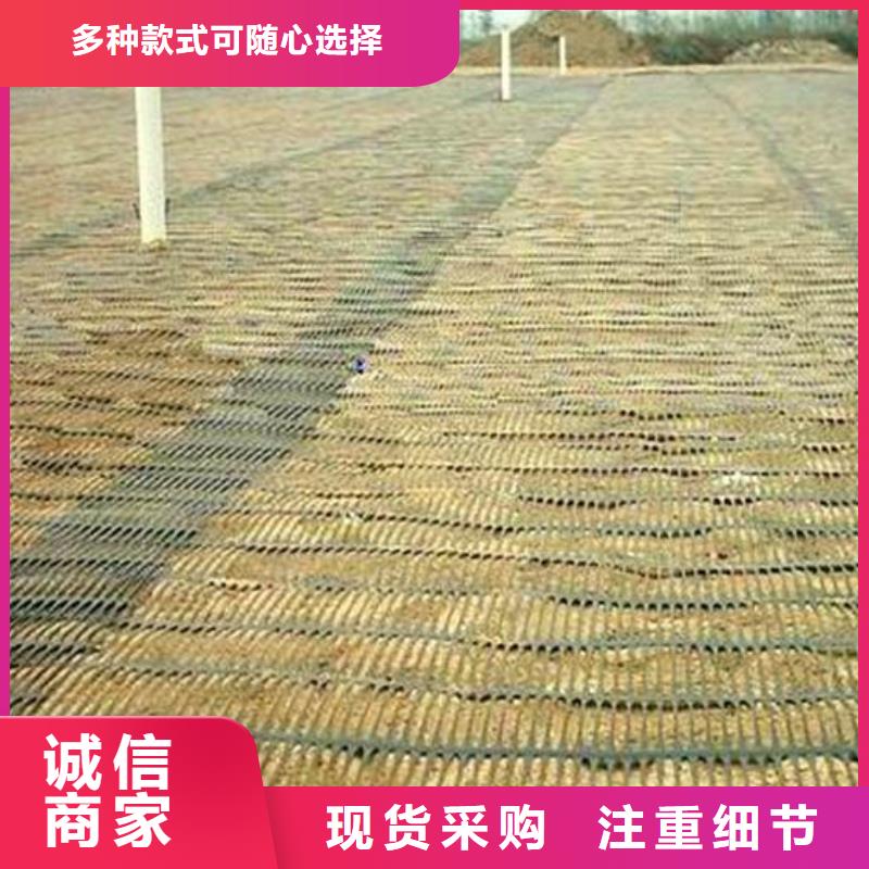 单向塑料土工格栅TPO防水卷材实体厂家支持定制