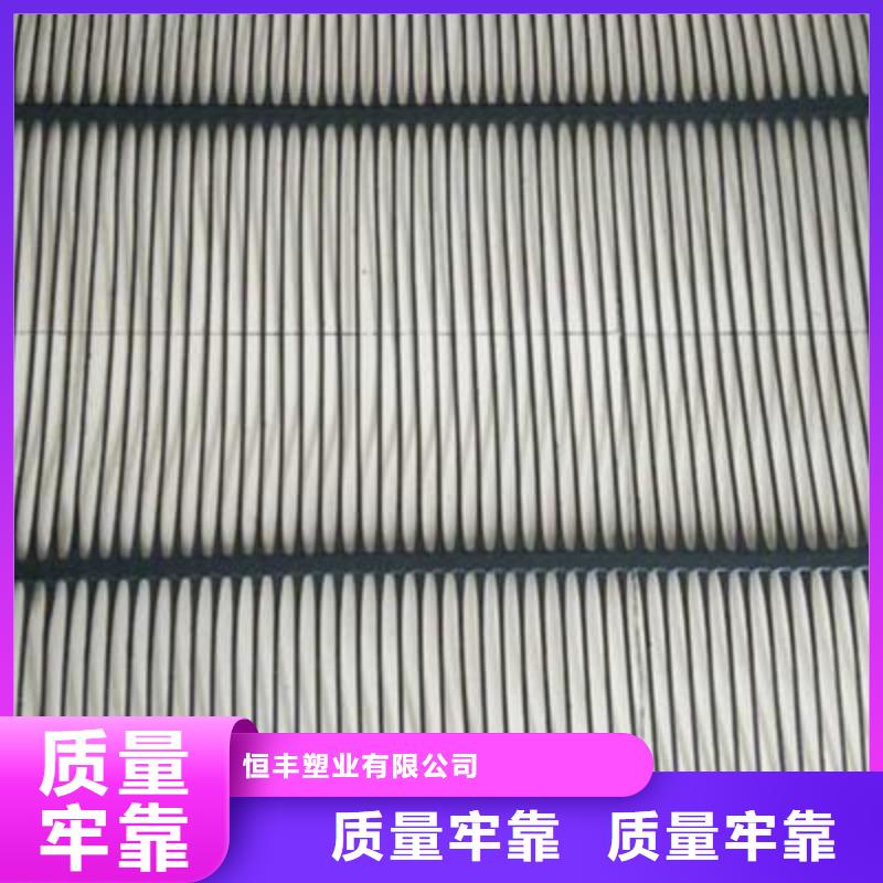 单向塑料土工格栅塑料土工滤网N年大品牌