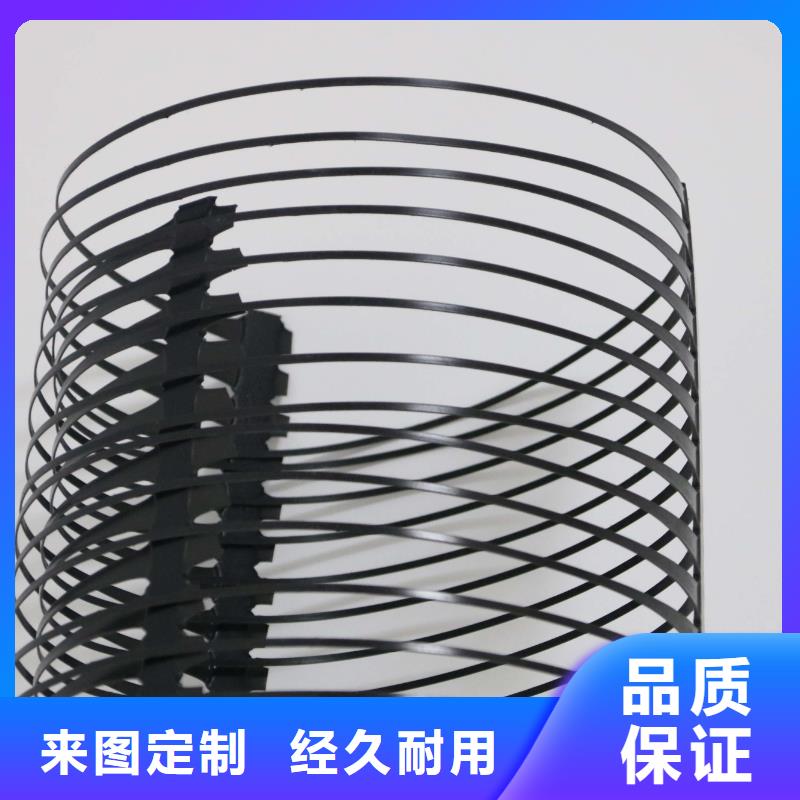 单向塑料土工格栅HDPE土工膜多年行业积累