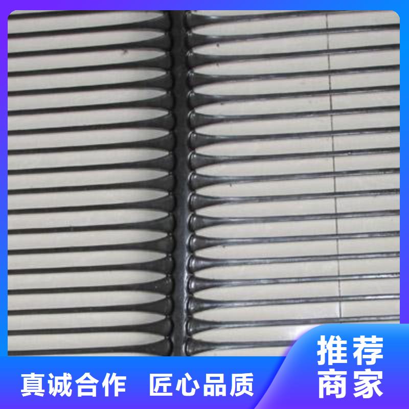 单向塑料土工格栅HDPE土工膜多年行业积累
