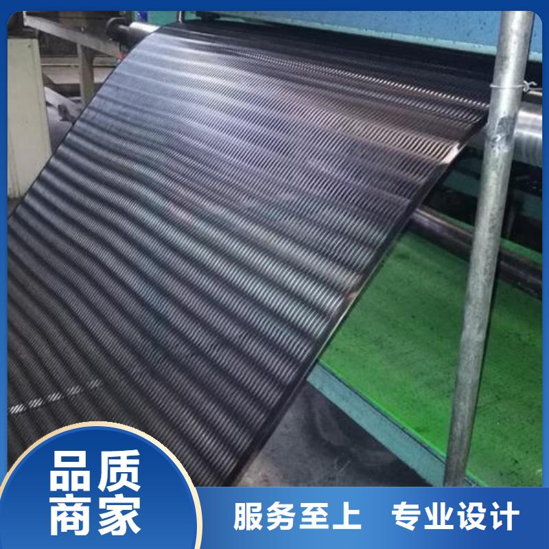 单向土工格栅老路加宽单向塑料土工格栅
