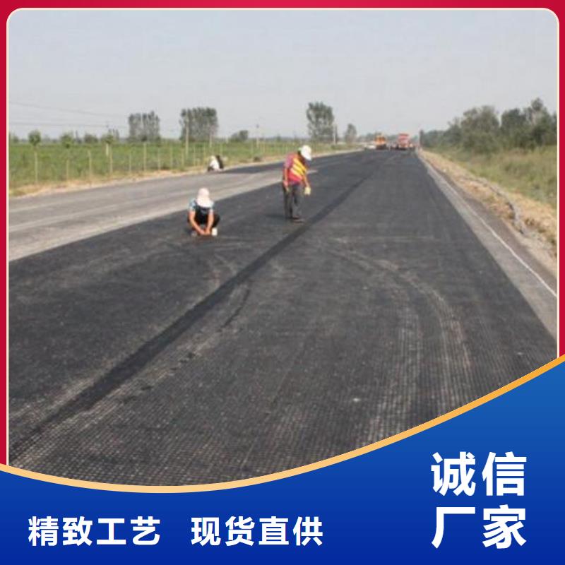钢塑土工格栅_塑料土工格栅_双向土工格栅塑料格栅单向拉伸路基加筋养殖网围栏塑料土工格栅