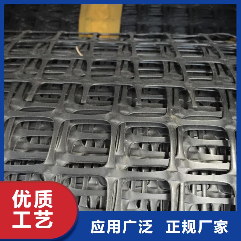 双向塑料格栅源头厂家