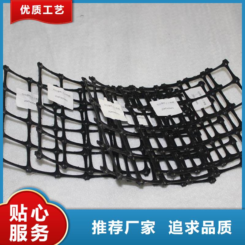 钢塑土工格栅_塑料土工格栅_双向土工格栅塑料格栅单向拉伸路基加筋养殖网围栏塑料土工格栅