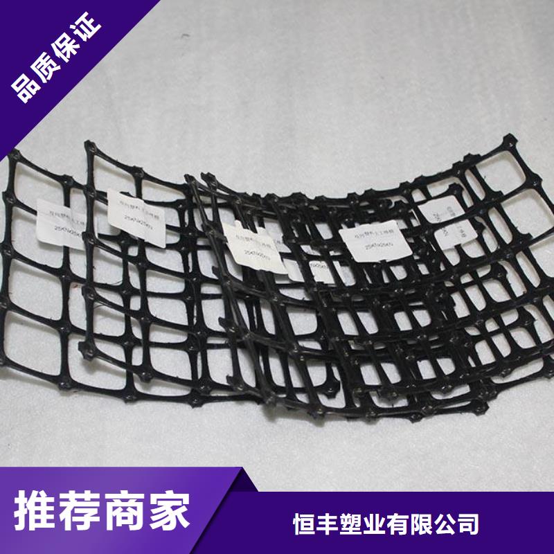 双向塑料土工格栅涤纶土工格栅品质优良