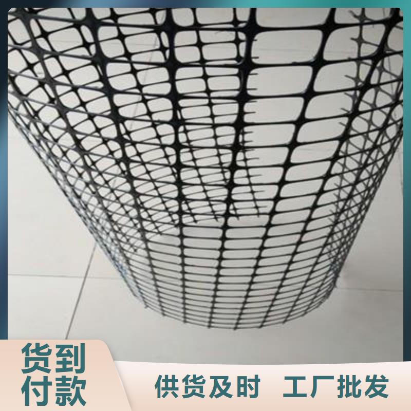 双向拉伸塑料土工格栅执行GB/T17689-2008标准塑料网养鸡塑料围网养殖黑色塑料网结实耐用养殖塑料网1-6米宽