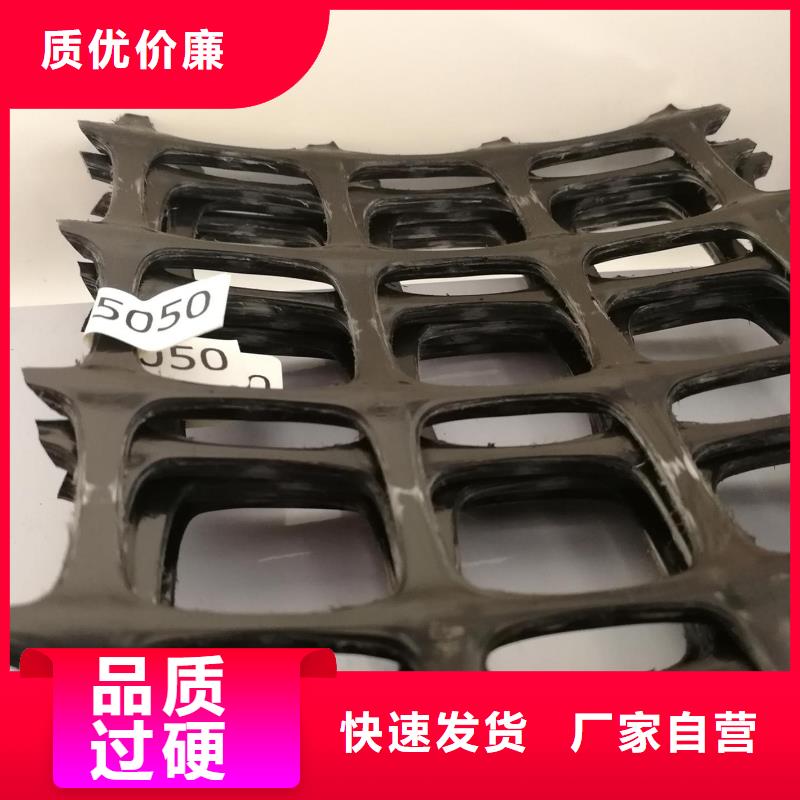 双向拉伸塑料土工格栅厂家优惠现货发