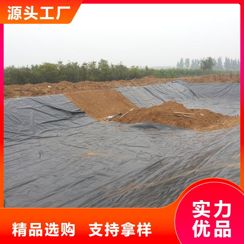 土工膜-【双向塑料土工格栅】现货直供