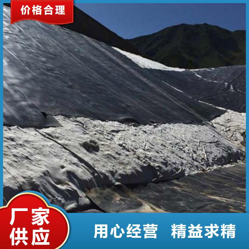 土工膜玻纤土工格栅供应商