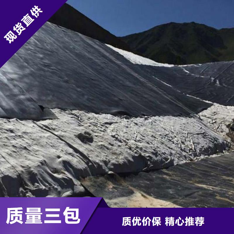 防渗膜_长丝土工布_复合土工膜