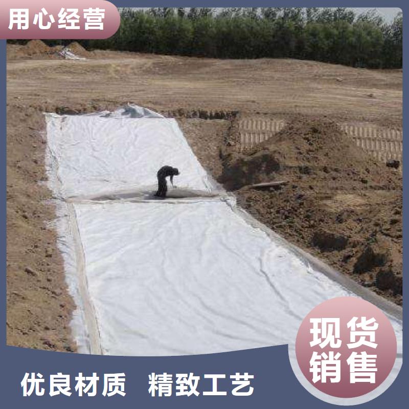 复合土工膜护坡土工网拥有多家成功案例