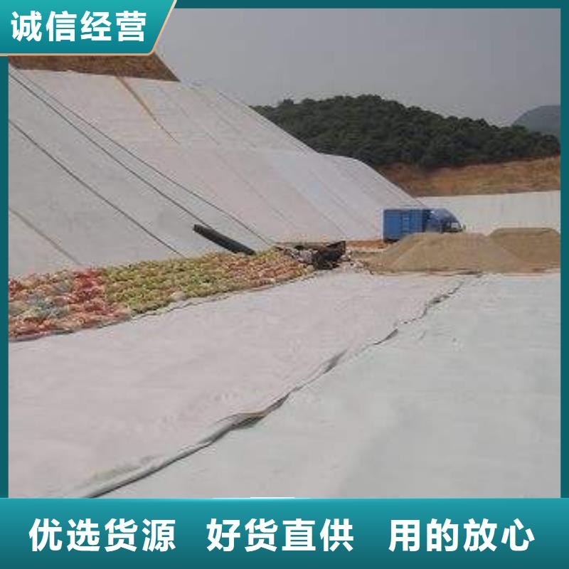 土工布-土工膜-长丝土工布-复合土工膜