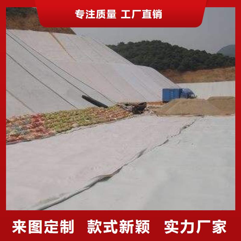 【复合土工膜】,凸结点钢塑土工格栅厂家采购