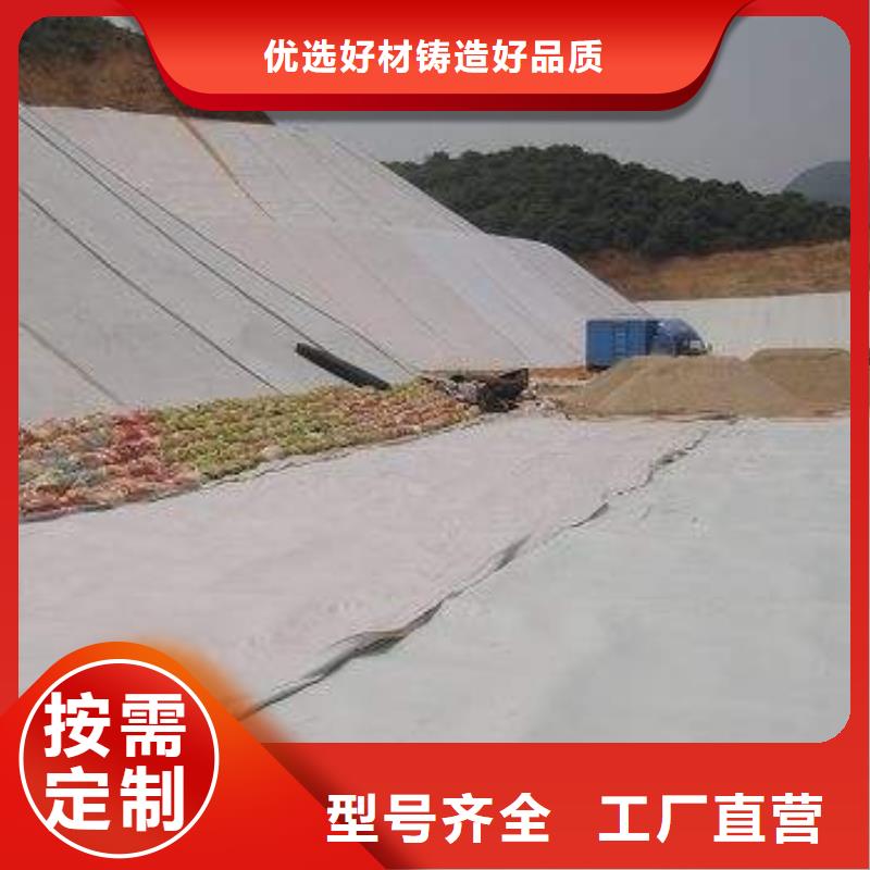 人工湖复合土工膜
