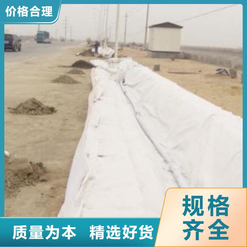 防渗膜土工膜批发,专业土工膜报价