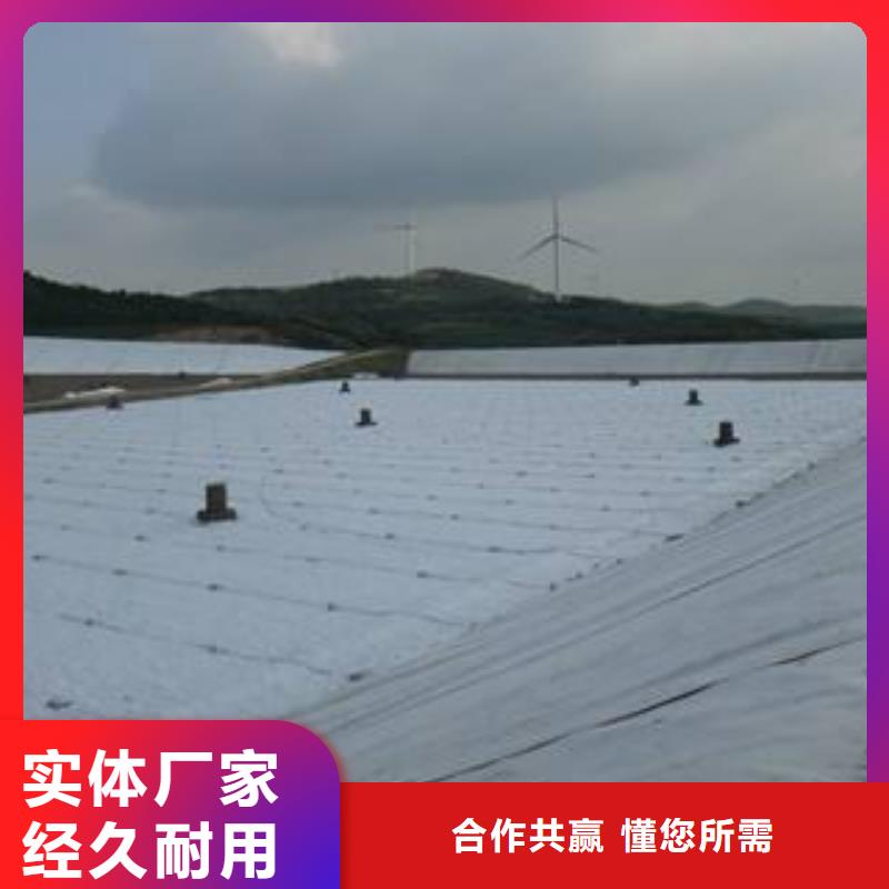 复合土工膜_长丝土工布_HDPE防渗膜_膨润土防水毯