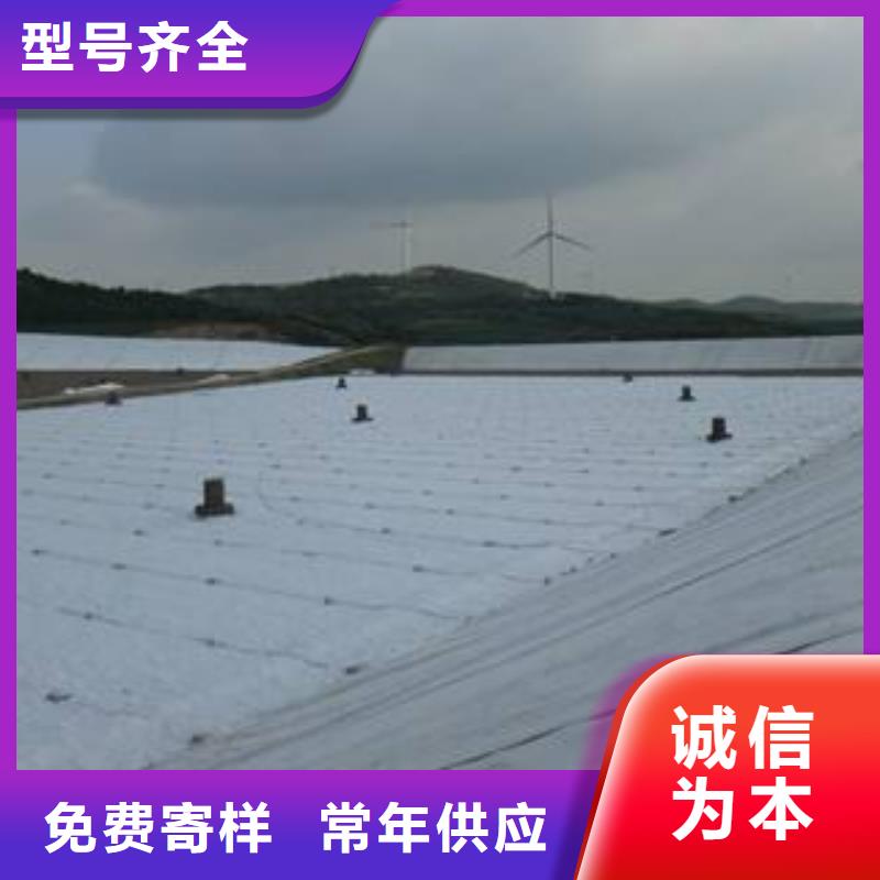 土工布-土工膜-长丝土工布-复合土工膜