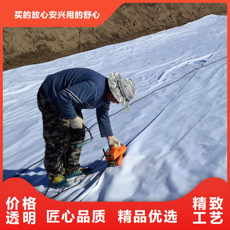土工膜厂家批发
