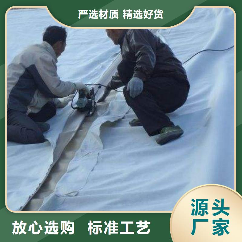 复合土工膜_专业生产厂家_物美价廉