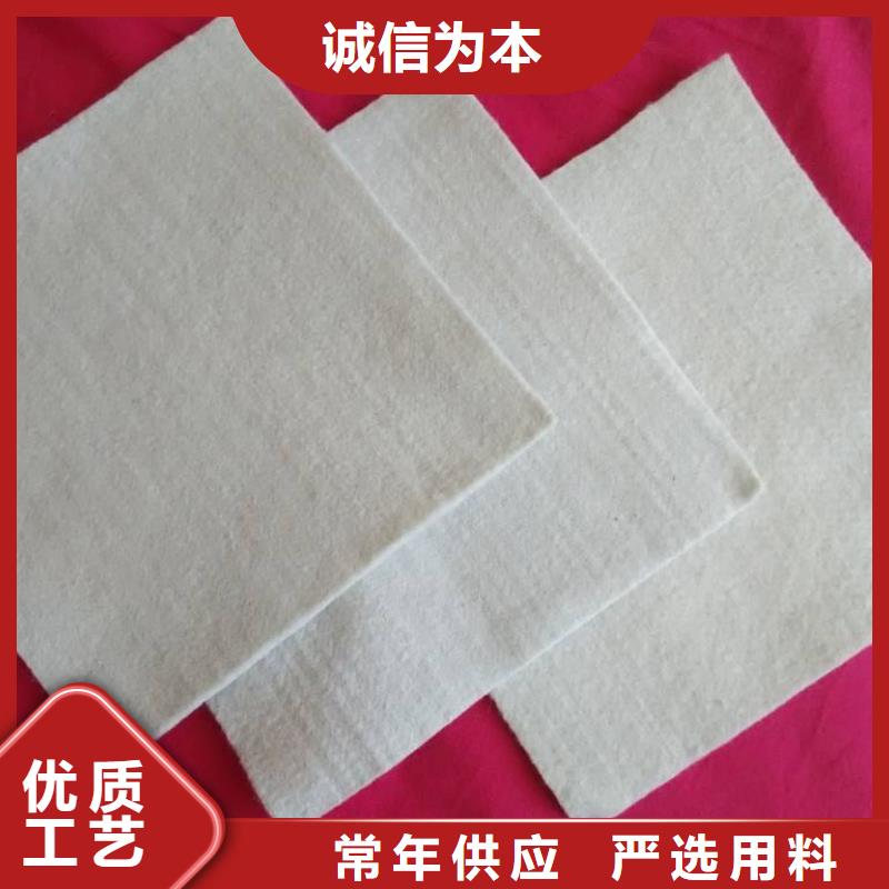 复合土工膜_城建土工膜快速发货