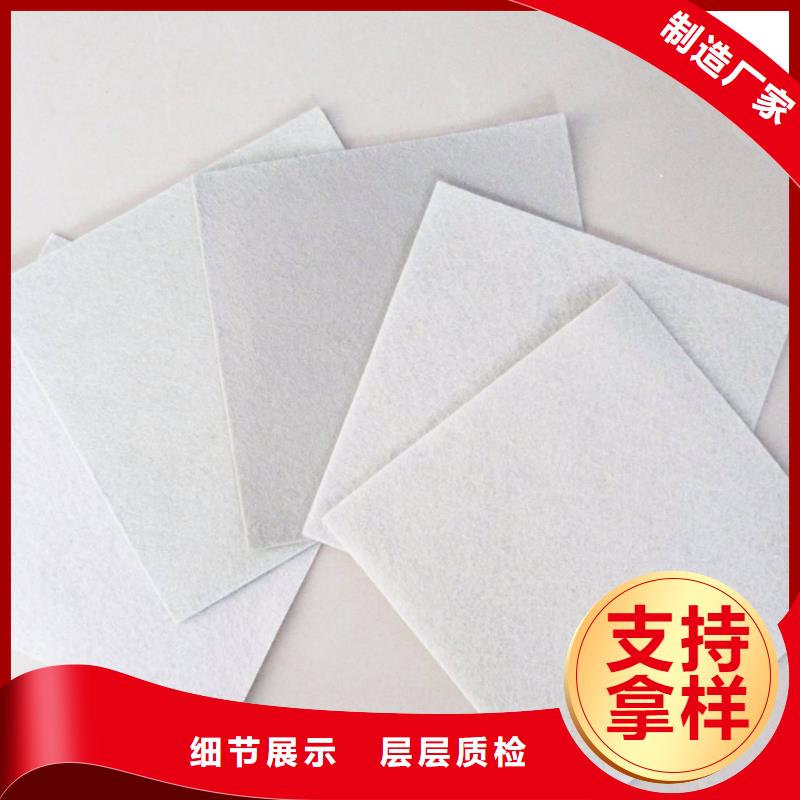复合土工膜PP焊接土工格栅丰富的行业经验