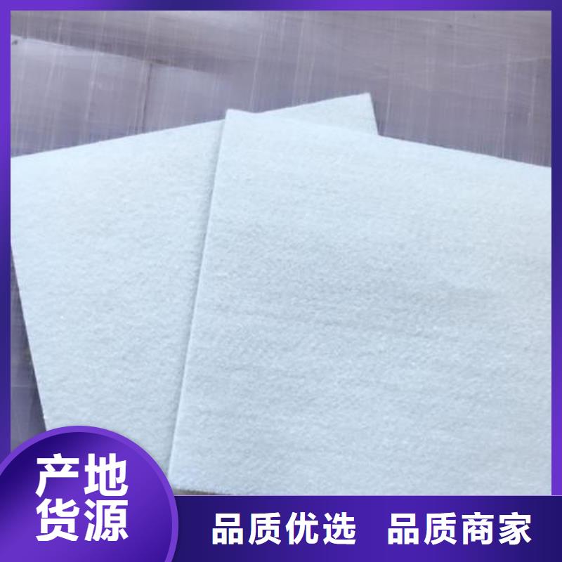 复合土工膜-玻纤土工格栅N年专注