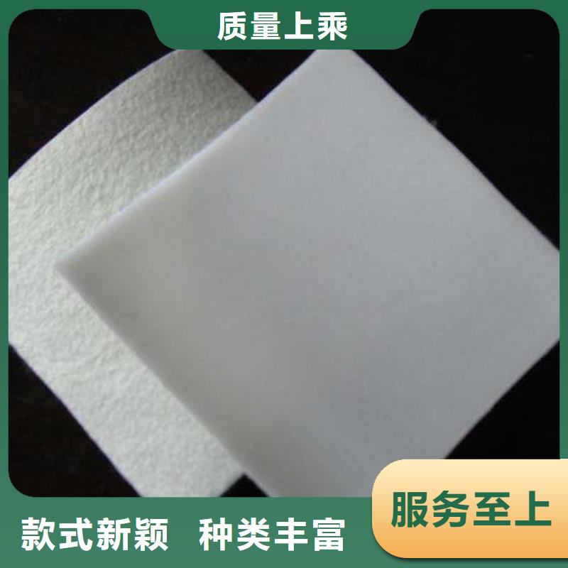 复合土工膜土工格室原厂制造