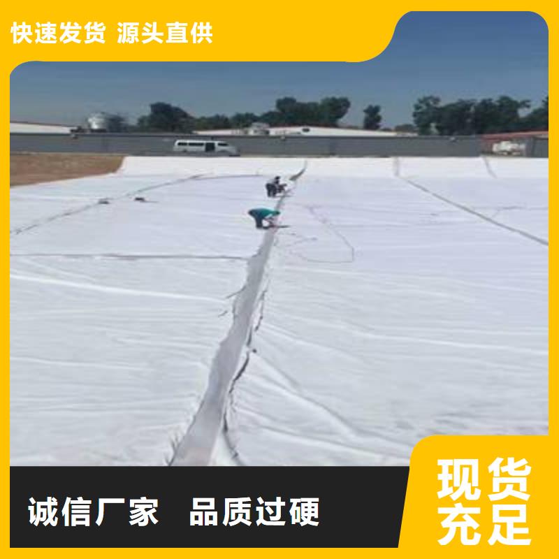 复合土工膜_城建土工膜快速发货
