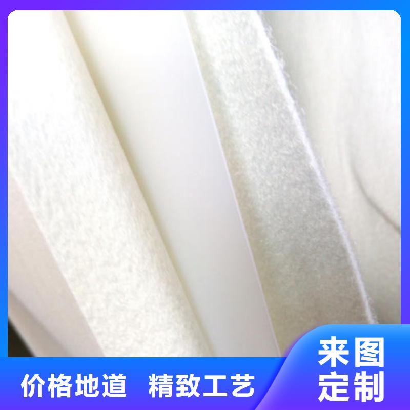 复合土工膜-玻纤土工格栅N年专注