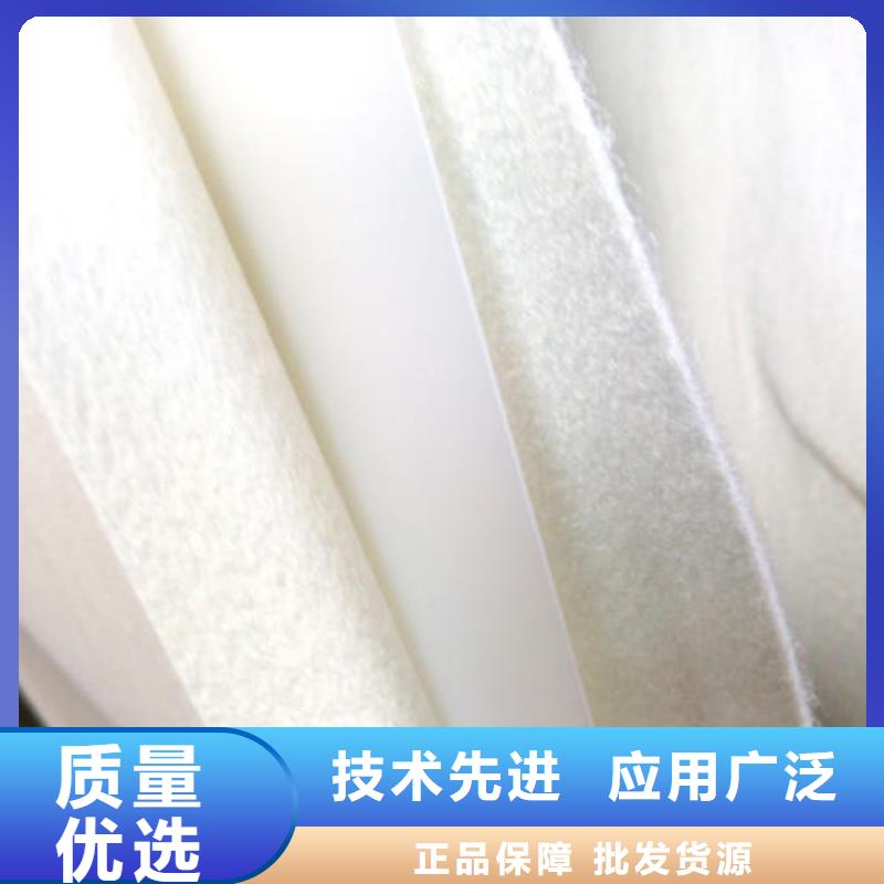 复合土工膜蜂巢格室高品质诚信厂家