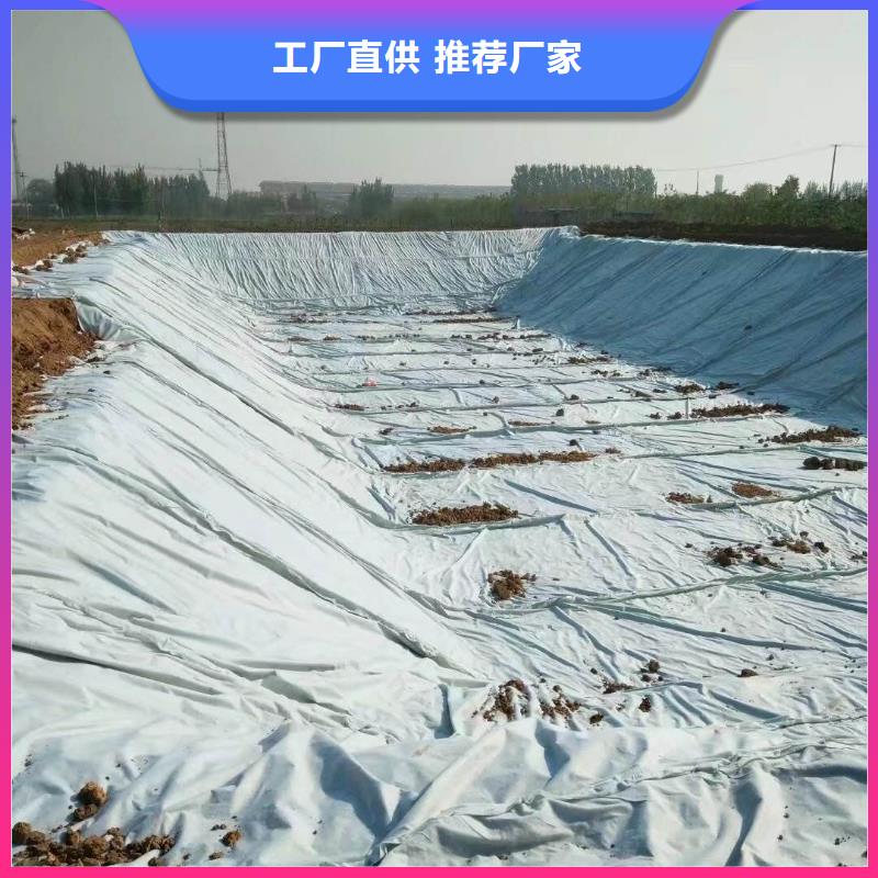 人工湖复合土工膜
