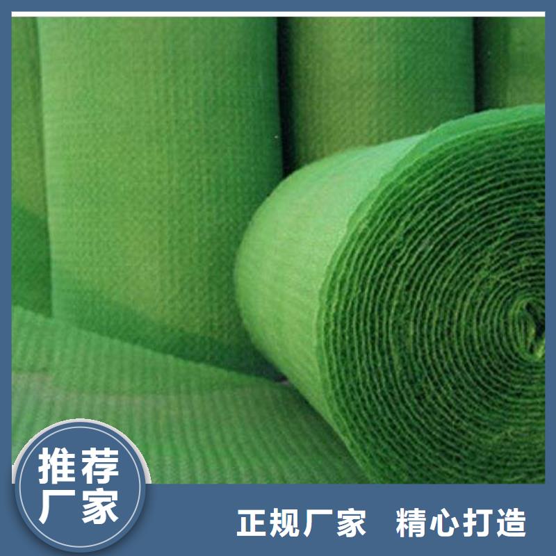 防渗膜价格_膨润土防水毯批发_土工网生产厂家_三维植被网
