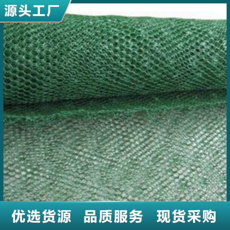 三维植被网蜂巢格室多年实力厂家