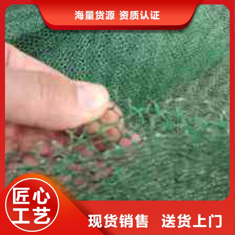 防渗膜价格_膨润土防水毯批发_土工网生产厂家_三维植被网