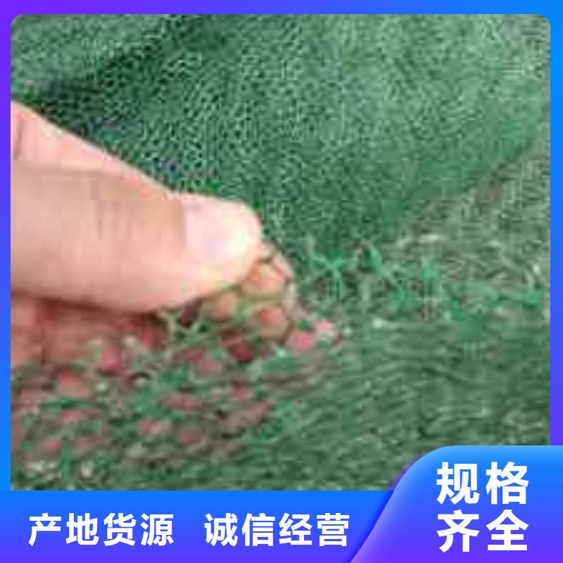 三维植被网【防渗膜】供您所需